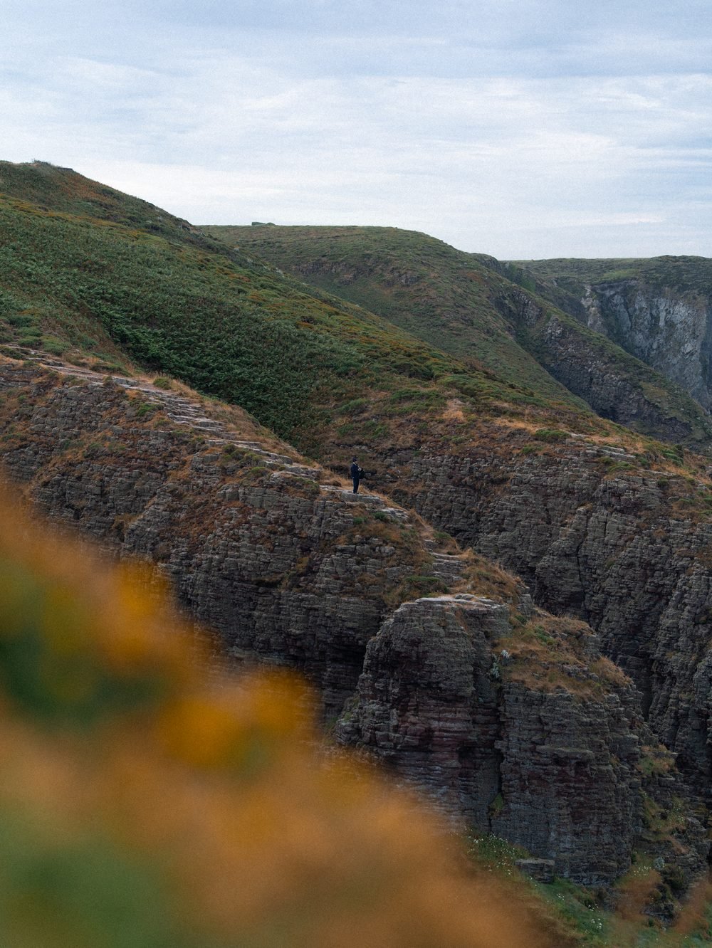 Les falaises couvertes de lande, le sonneur tout petit au loin.